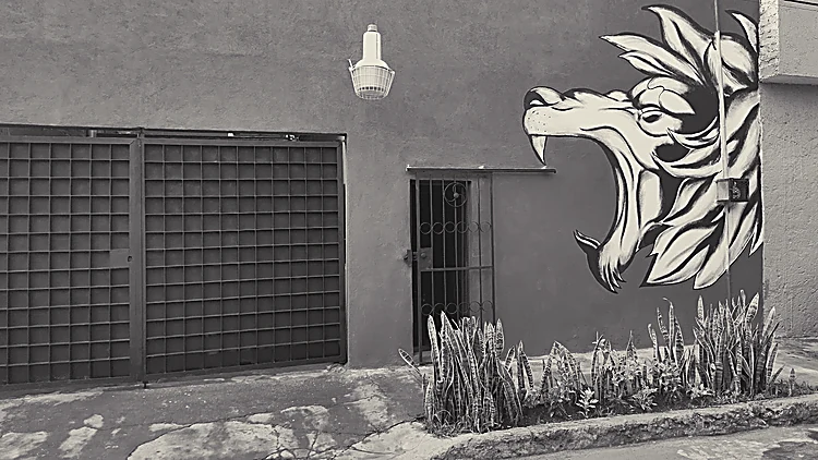Fachada del estudio: muro gris con un león rugiendo pintado en blanco y negro, junto a la reja negra de la entrada